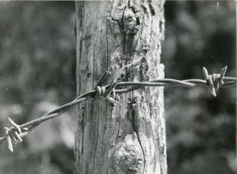 Senza titolo, anni sessanta, stampa fotografica vintage, cm. 18x24
