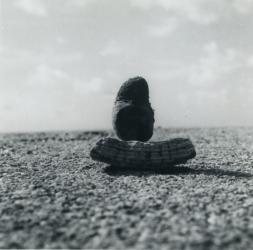 Senza titolo, anni sessanta, stampa fotografica vintage, cm. 9x9